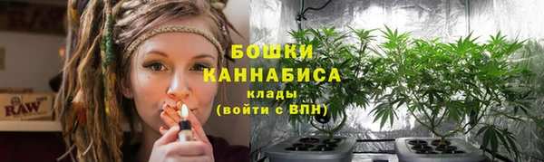 мдпв Волосово