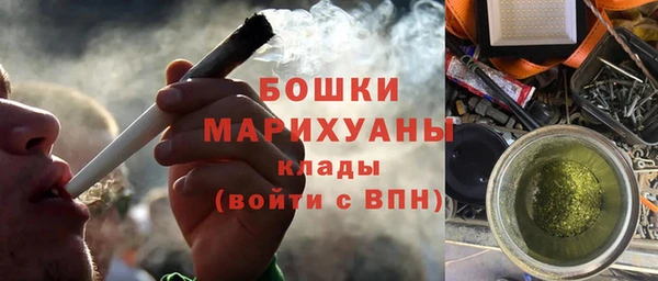мдпв Волосово