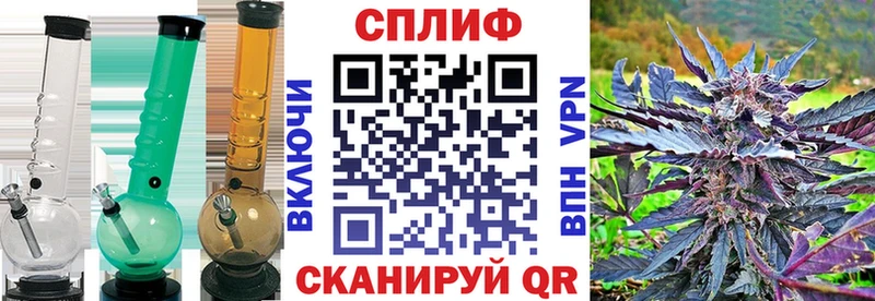 Бошки марихуана MAZAR  купить   Чердынь 